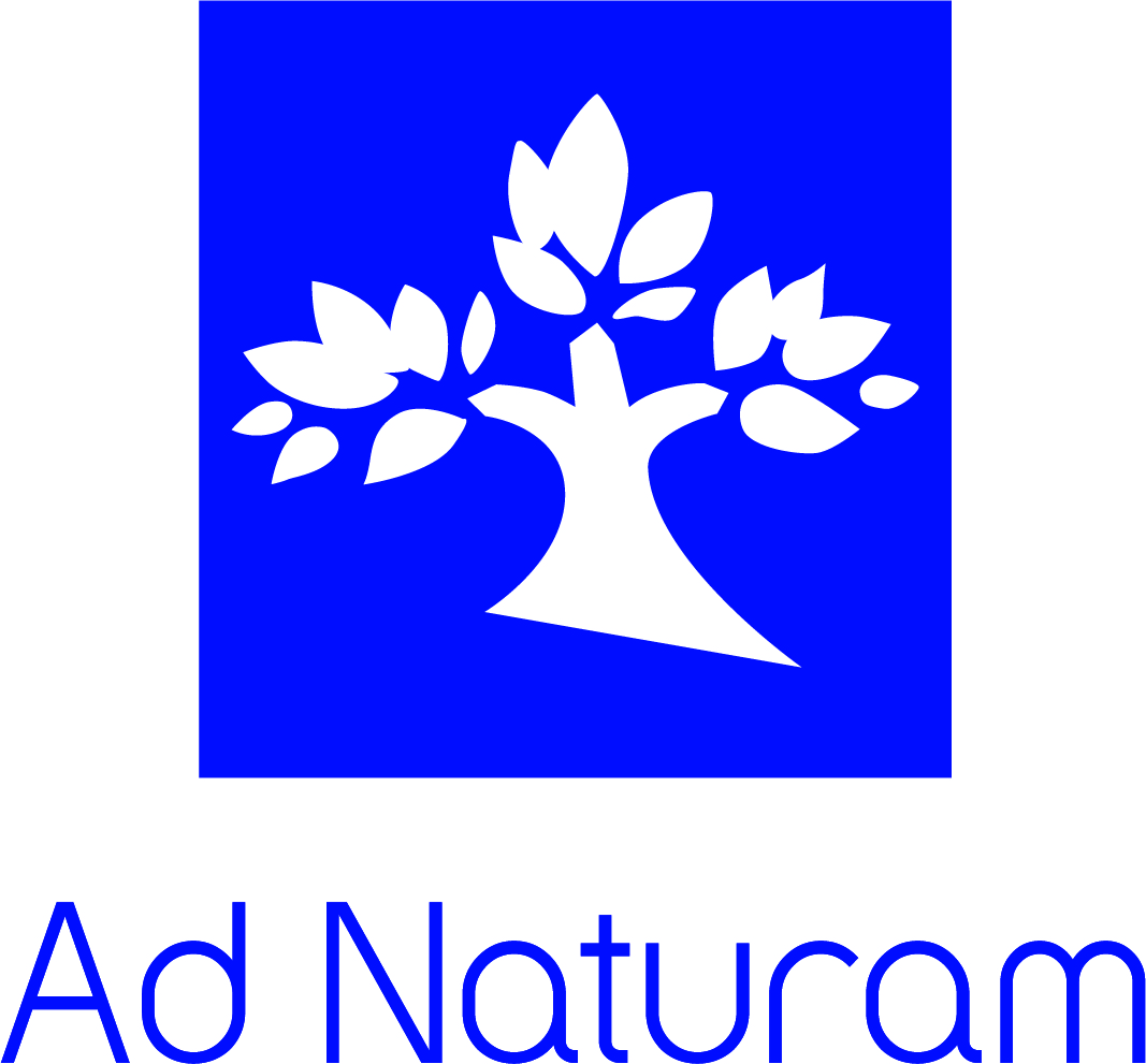 Logo-AdN